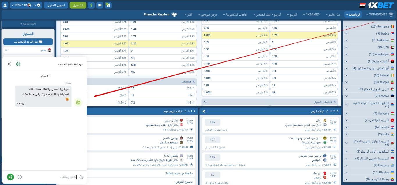 1xbet support in Egypt